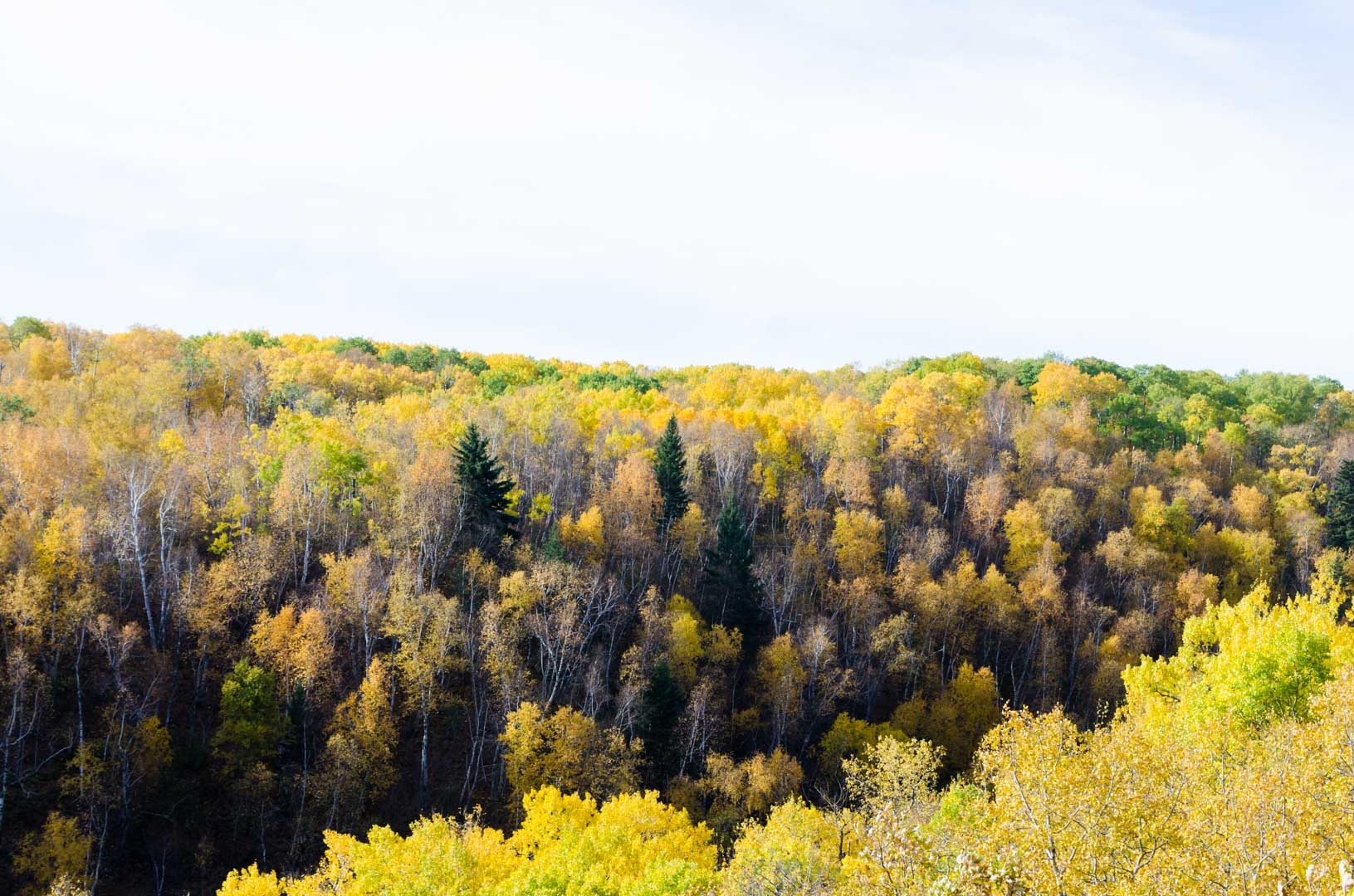 Gorge Creek Trail - Riding Mountain National Park, MB